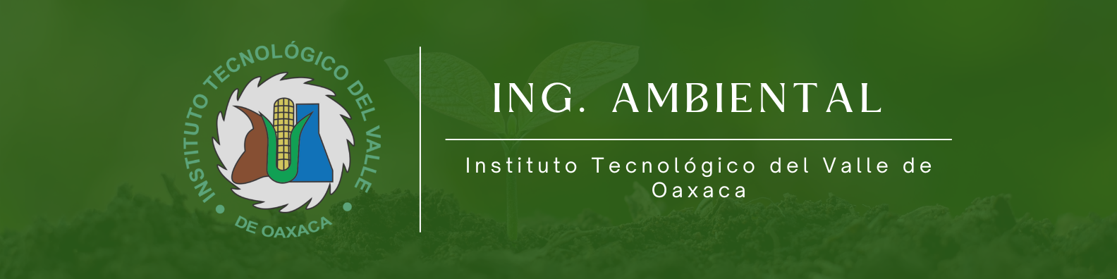 ING. AMBIENTAL